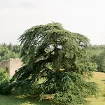 Chateau De