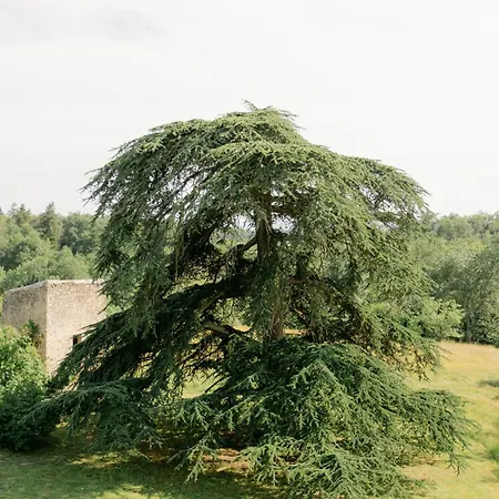 Chateau De